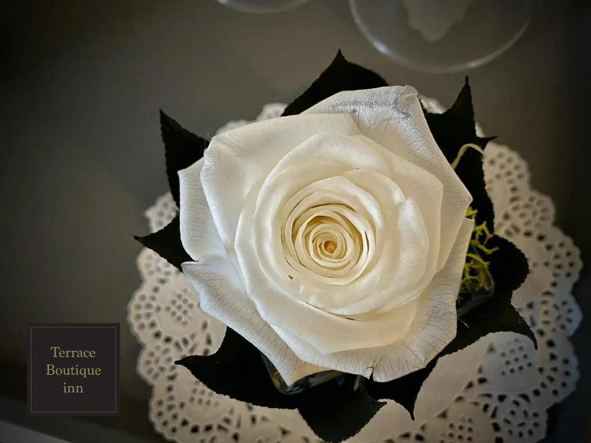 Terrace Boutique Inn Rome
